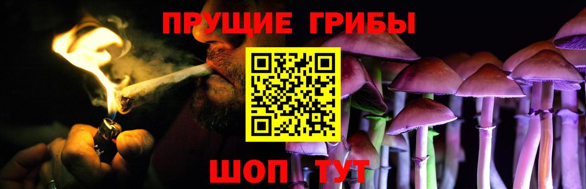 Галлюциногенные грибы Cubensis  Вход с VPN  Новоалтайск 